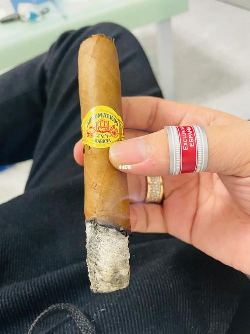 Habana雪茄：奢华的象征与价格的探讨