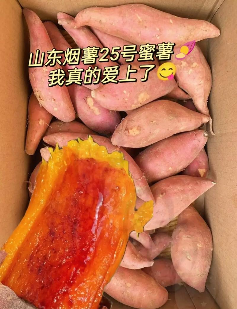 济宁烟薯批发价格表,山东烟薯25红薯批发